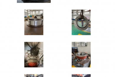 Stern tune seal overhaul in Augest .